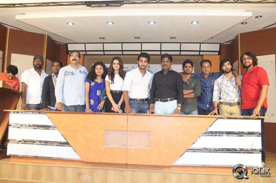 Pyaar-Mein-Padipoyane-Movie-Success-Meet